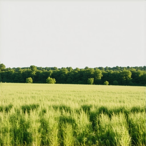 How to fake depth of field in flat landscape shots naturally